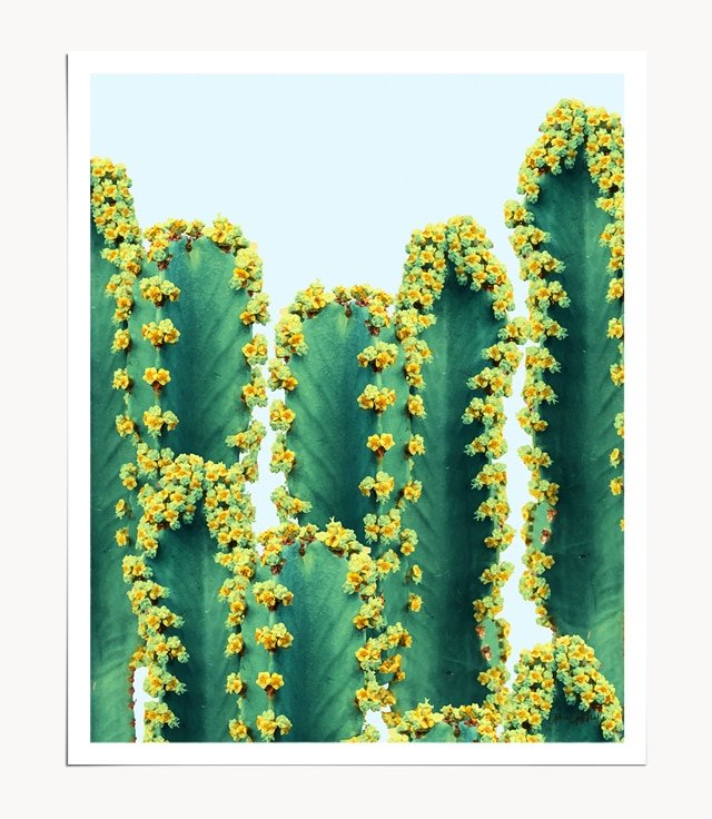 Shop Adorned Cactus modern boho nature Art Print by artist Uma Gokhale 83 Oranges unique artist-designed wall art & home décor