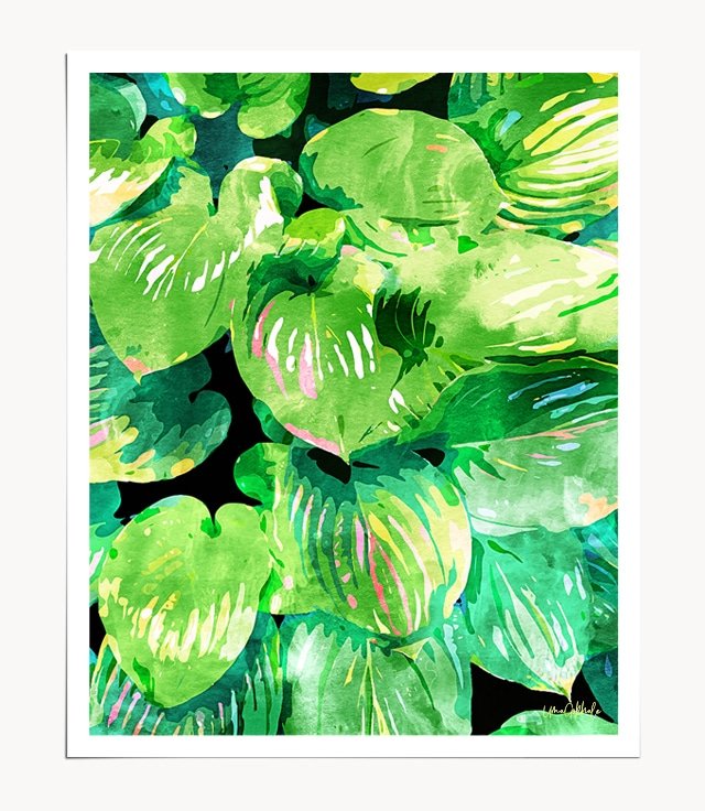 Shop Colors Of The Rainforest tropical botanical modern illustration Art Print by artist Uma Gokhale 83 Oranges unique artist-designed wall art & home décor