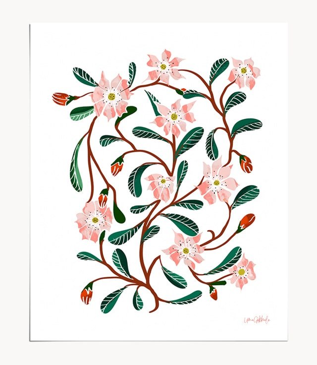 Shop Floral Deco, Minimal Botanical Illustration, Blush Nature Drawing Painting Art Print by artist Uma Gokhale 83 Oranges unique artist-designed wall art & home décor