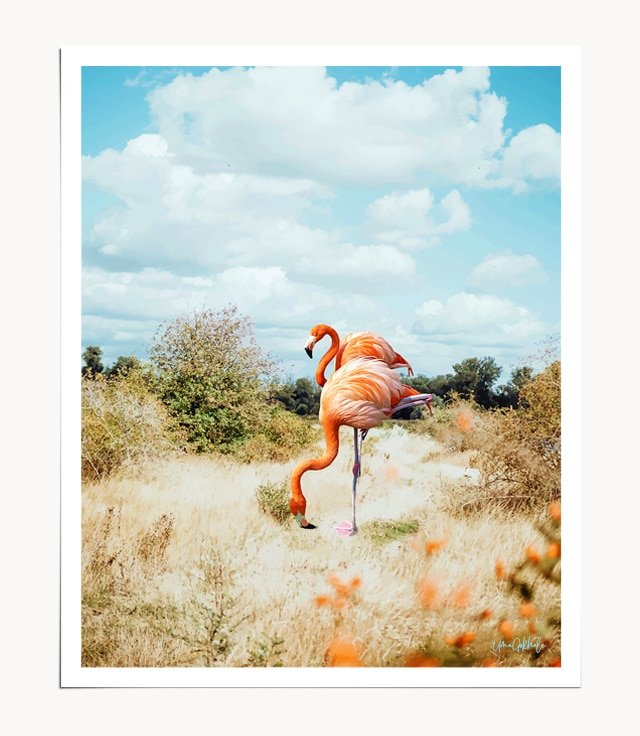 Shop Flamingo Couple, Tropical Nature Landscape, Photography Digital Wildlife Art Print by artist Uma Gokhale 83 Oranges unique artist-designed wall art & home décor