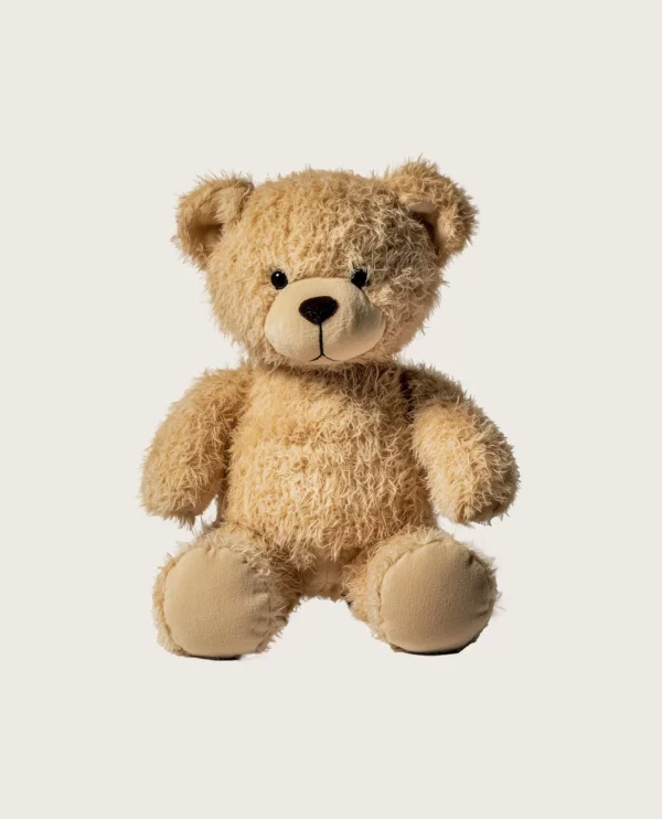 Teddy