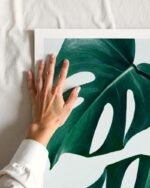 Shop Monstera Leaves Tropical Jungle Minimal Botanical Plants small batch graphic Art Print, Canvas Print, Commercial digital license & Instant download printable - exclusively available at 83oranges.com by artist Uma Gokhale India Shop Monstera Leaves Tropical Jungle Minimal Botanical Plants small batch graphic Art Print, Canvas Print, Commercial digital license & Instant download printable - exclusively available at 83oranges.com by artist Uma Gokhale India