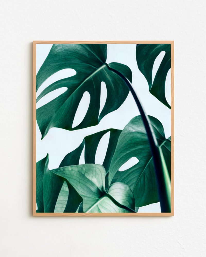 Shop Monstera Leaves Tropical Jungle Minimal Botanical Plants small batch graphic Art Print, Canvas Print & Fabric Print - exclusively available at 83oranges.com by artist Uma Gokhale India