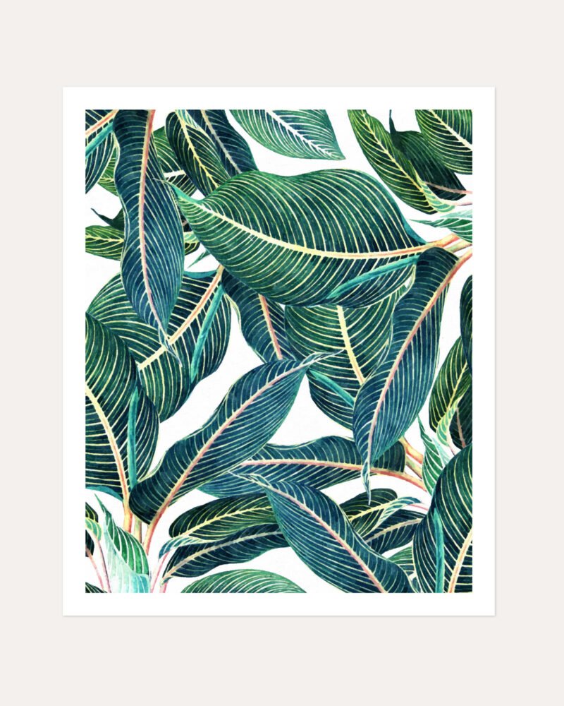 Shop Edge & Dance Tropical Botanical Nature Plants Art Print, Canvas Print, Commercial digital license & Instant printable download - available at 83oranges.com by artist Uma Gokhale India