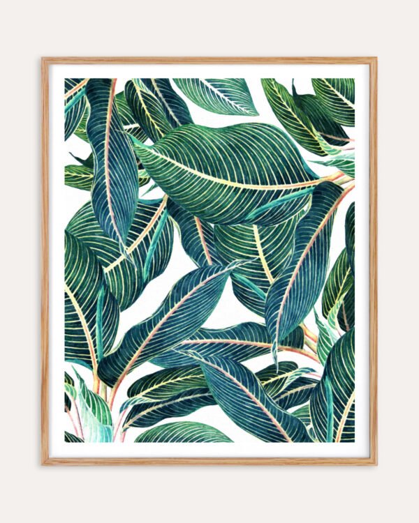 Shop Edge & Dance Tropical Botanical Nature Plants Art Print, Canvas Print, Commercial digital license & Instant printable download - available at 83oranges.com by artist Uma Gokhale India