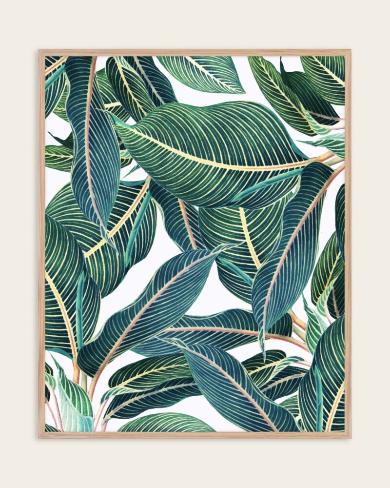 Shop Edge & Dance Tropical Botanical Nature Plants Art Print, Canvas Print, Commercial digital license & Instant printable download - available at 83oranges.com by artist Uma Gokhale India