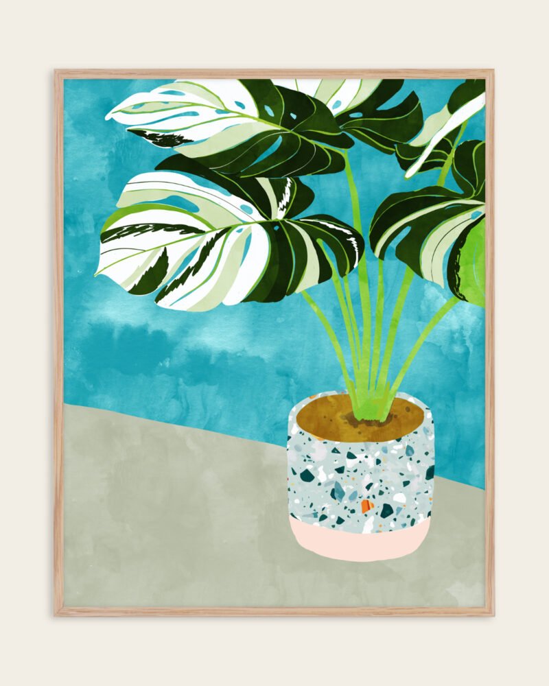Shop Variegted Monstera watercolor Botanical Nature tropical strange plant Painting Art Print, Canvas Print, Commercial digital license & Instant printable download - available at 83oranges.com by artist Uma Gokhale India