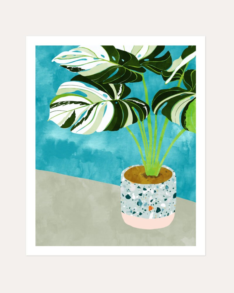 Shop Variegted Monstera watercolor Botanical Nature tropical strange plant Painting Art Print, Canvas Print, Commercial digital license & Instant printable download - available at 83oranges.com by artist Uma Gokhale India