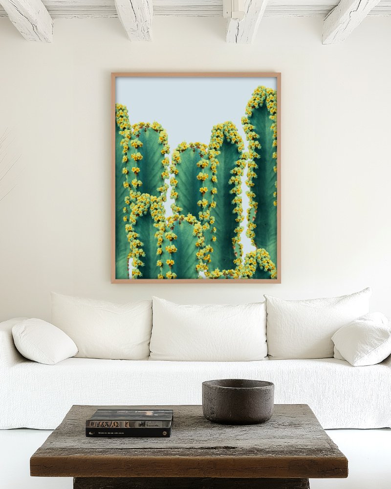 Shop cactus botanical plants photography Nature Art Print, Canvas Print & Fabric Print, Commercial Digital License & Instant download printable - exclusively available at 83oranges.com by artist Uma Gokhale India Shop cactus botanical plants photography Nature Art Print, Canvas Print & Fabric Print, Commercial Digital License & Instant download printable - exclusively available at 83oranges.com by artist Uma Gokhale India