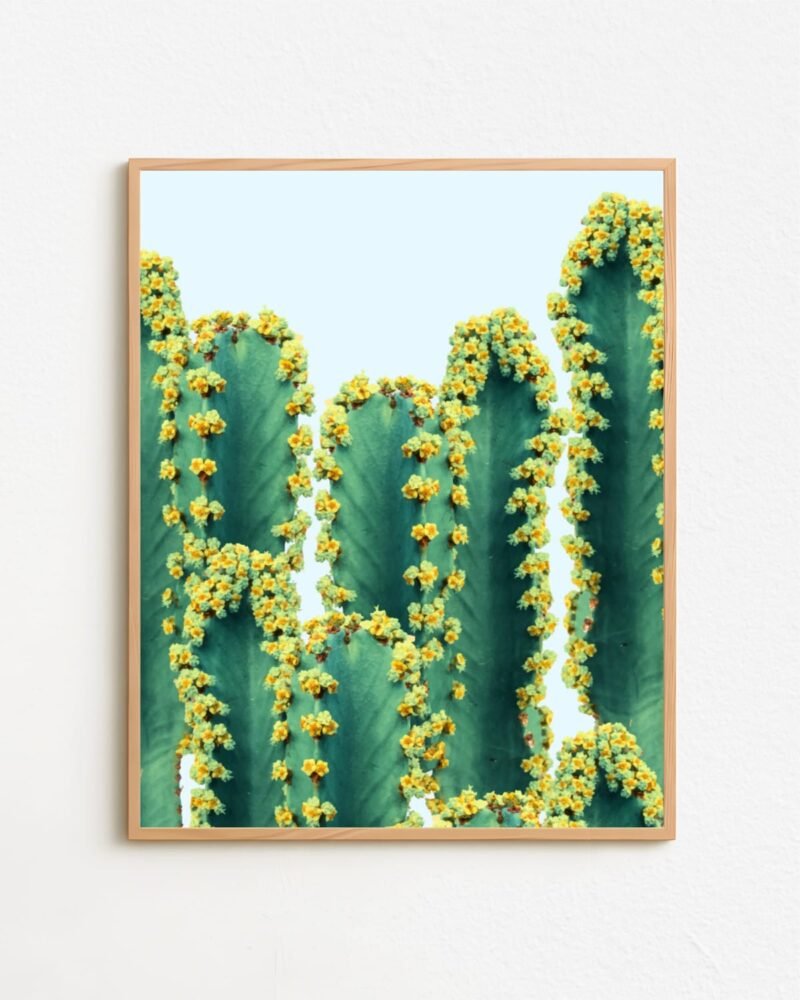 Shop cactus botanical plants photography Nature Art Print, Canvas Print & Fabric Print - exclusively available at 83oranges.com by artist Uma Gokhale India