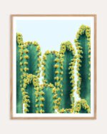 Shop cactus botanical plants photography Nature Art Print, Canvas Print & Fabric Print, Commercial Digital License & Instant download printable - exclusively available at 83oranges.com by artist Uma Gokhale India