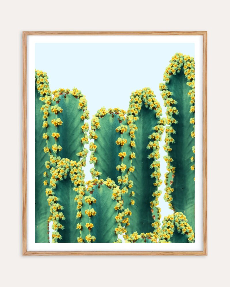 Shop cactus botanical plants photography Nature Art Print, Canvas Print & Fabric Print, Commercial Digital License & Instant download printable - exclusively available at 83oranges.com by artist Uma Gokhale India