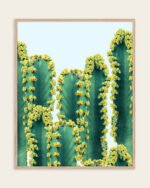 Shop cactus botanical plants photography Nature Art Print, Canvas Print & Fabric Print, Commercial Digital License & Instant download printable - exclusively available at 83oranges.com by artist Uma Gokhale India