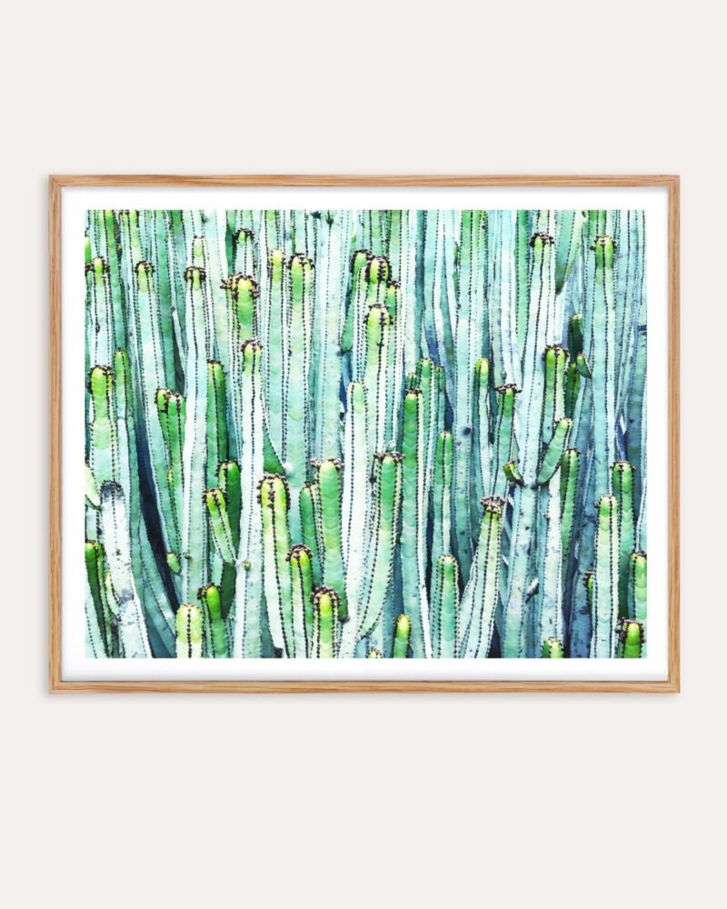 Shop watercolor cactus botanical plants painting Nature Art Print, Canvas Print, Commercial digital license & Instant download printable- exclusively available at 83oranges.com by artist Uma Gokhale India Shop watercolor cactus botanical plants painting Nature Art Print, Canvas Print, Commercial digital license & Instant download printable- exclusively available at 83oranges.com by artist Uma Gokhale India