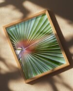 Shop tropical palm photographic plant botanical Art Print, Canvas Print - available at 83oranges.com by artist Uma Gokhale India