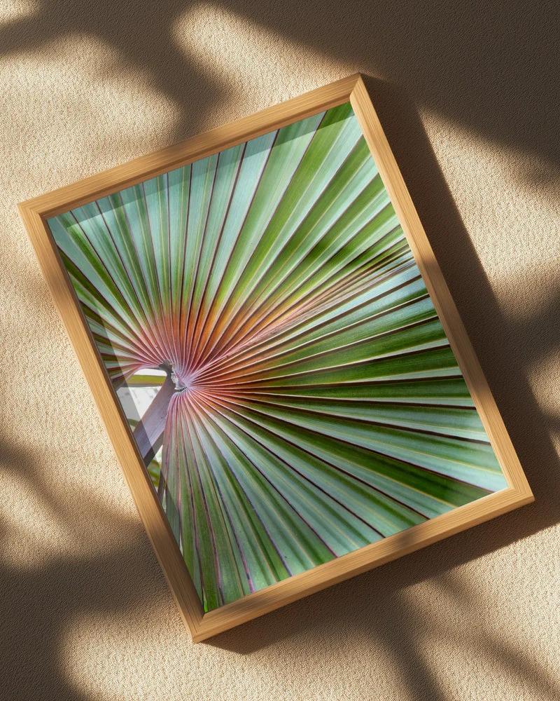 Shop tropical palm photographic plant botanical Art Print, Canvas Print - available at 83oranges.com by artist Uma Gokhale India