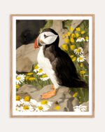 Shop puffin birds animals nature cute Art Print, Canvas Print, commercial digital license, instant download printable - exclusively certified at 83oranges.com by artist Uma Gokhale India Shop puffin birds animals nature cute Art Print, Canvas Print, commercial digital license, instant download printable - exclusively certified at 83oranges.com by artist Uma Gokhale India