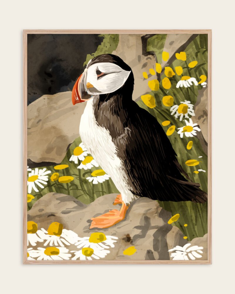 Shop puffin birds animals nature cute Art Print, Canvas Print, commercial digital license, instant download printable - exclusively certified at 83oranges.com by artist Uma Gokhale India
