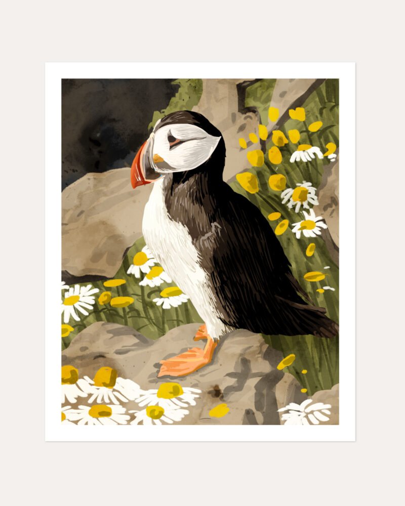 Shop puffin birds animals nature cute Art Print, Canvas Print, commercial digital license, instant download printable - exclusively certified at 83oranges.com by artist Uma Gokhale India