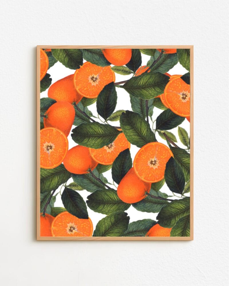 Shop the forbidden orange fruits tropical vintage botanical illustration Art Print, Canvas Print, digital printable download - available at 83oranges.com by artist Uma Gokhale India