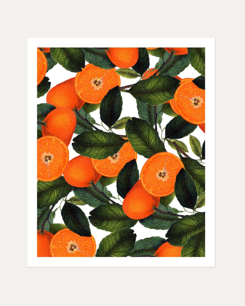 Shop the forbidden orange fruits tropical vintage botanical illustration Art Print, Canvas Print, digital printable download - available at 83oranges.com by artist Uma Gokhale India