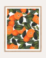 Shop the forbidden orange fruits tropical vintage botanical illustration Art Print, Canvas Print, digital printable download - available at 83oranges.com by artist Uma Gokhale India