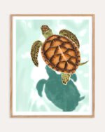 Shop Turtle Shadow Pond Art Print, Canvas Print, digital printable download - available at 83oranges.com by artist Uma Gokhale India