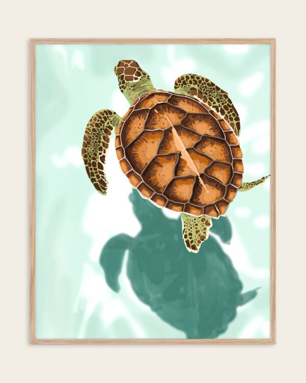 Shop Turtle Shadow Pond Art Print, Canvas Print, digital printable download - available at 83oranges.com by artist Uma Gokhale India