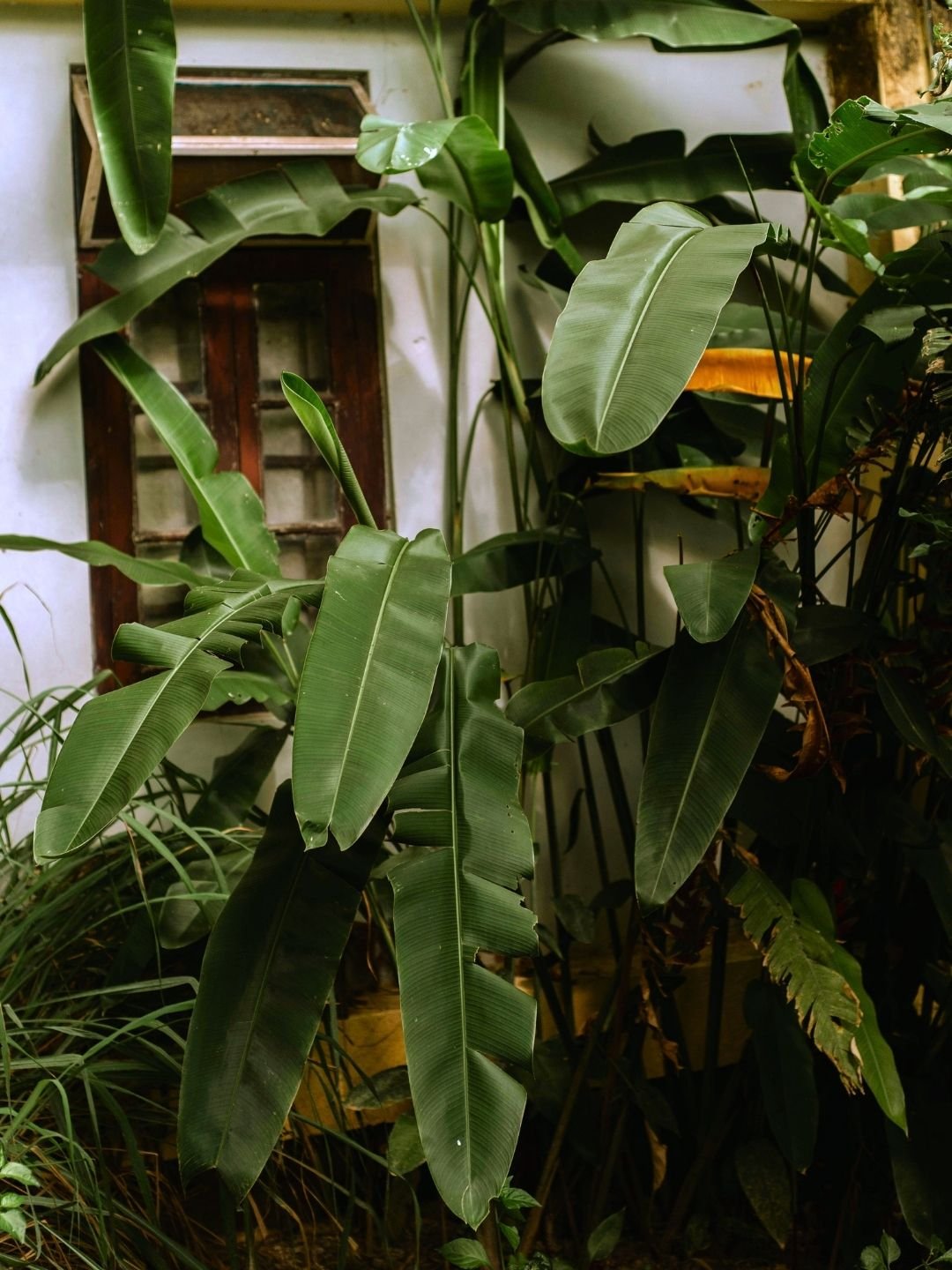 Lemonade Blog Post: Lemonade Special fine art prints edit for contemporary interiors by 83 Oranges | Written by Uma Gokhale