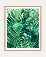 Abstract nature botanical painterly Jungle watercolor fine art print titled “Tropical state of mind” by Uma Gokhale for contemporary interiors Abstract nature botanical painterly Jungle watercolor fine art print titled “Tropical state of mind” by Uma Gokhale for contemporary interiors