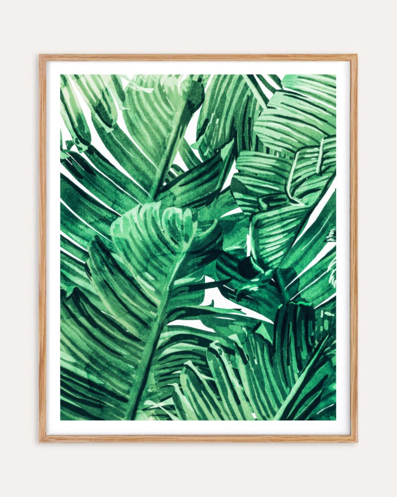 Abstract nature botanical painterly Jungle watercolor fine art print titled “Tropical state of mind” by Uma Gokhale for contemporary interiors Abstract nature botanical painterly Jungle watercolor fine art print titled “Tropical state of mind” by Uma Gokhale for contemporary interiors