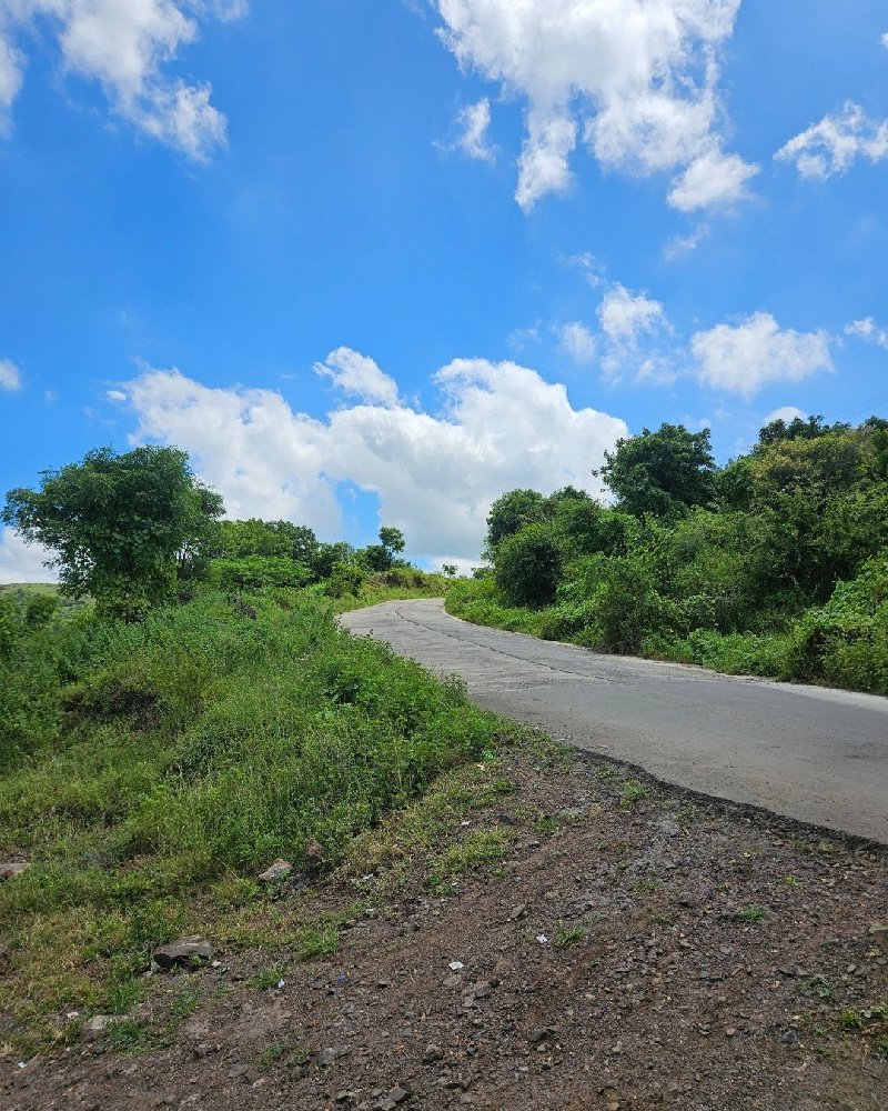 What We Carry When Names Change. Discover fine art prints by Uma Gokhale for contemporary interiors. Art that's made to feel.