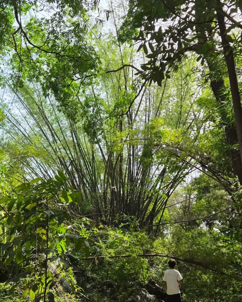 The Journal by Uma Gokhale - The Art of Being Grateful The Journal by Uma Gokhale - The Art of Being Grateful