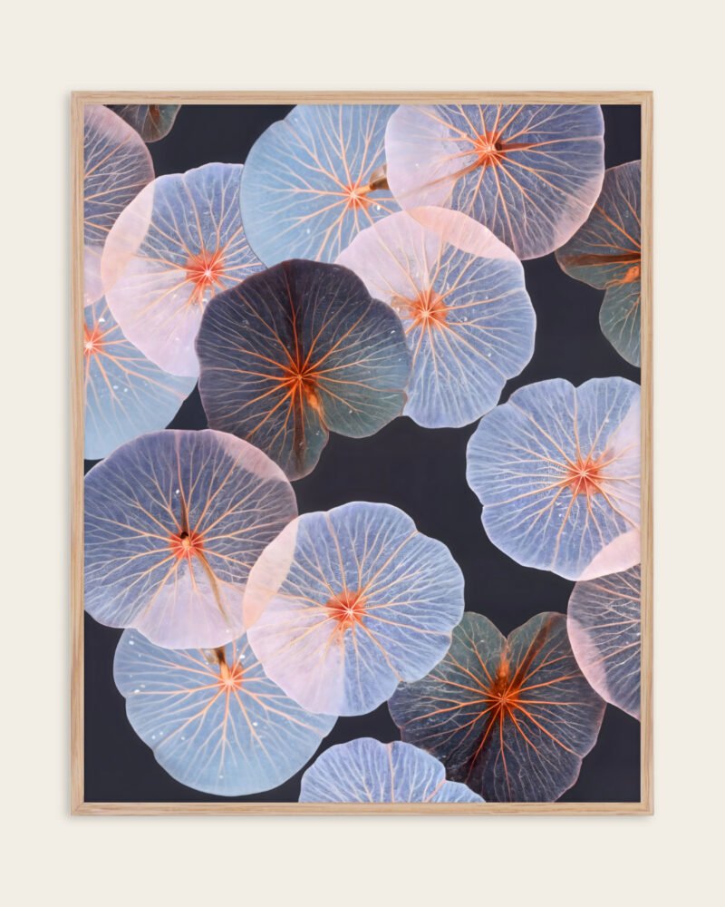 Botanical lotus pond leaves fine art print titled “Translucence” by 83 Oranges/Uma Gokhale for contemporary Scandinavian Nordic interiors